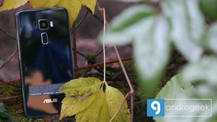 Mindenhol a tipikus zen motívumok: a hátlapon...