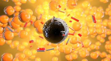 Nanorobotok a sejtjeinkben