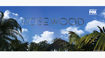 Az FOX újoncai (2015/16, dráma) ? Rosewood