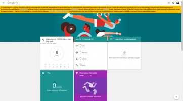 Heteken belül lelövik a Google Fitnesz webes felületét