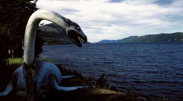 Amerikában vetődött partra a Loch Ness-i szörny mása?