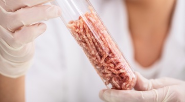 Egy friss tanulmány szerint a laboratóriumban előállított hús környezetszennyezőbb, mint a marhahús