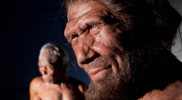 Egy új tanulmány szerint a neandervölgyiek és a Homo sapiens legalább 1400 évig együtt éltek