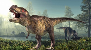 Minden eddiginél nagyobb Tyrannosaurus rexet találtak Kanadában